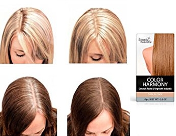 Hairweb De Perfekt Die Ansatze Farben Die Besten Produkte Infos Tipps Und Tricks